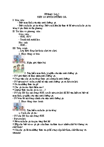Giáo án Kĩ thuật Lớp 5 VNEN - Tiết 19: Nuôi dưỡng gà