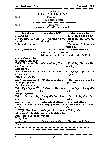 Giáo án Lớp 3 VNEN - Tuần 20 - Nguyễn Thị Phượng